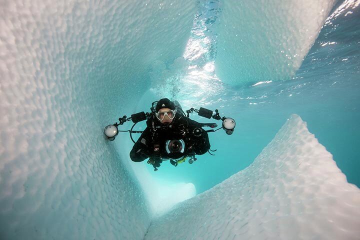 Iceberg diving in Antarctica